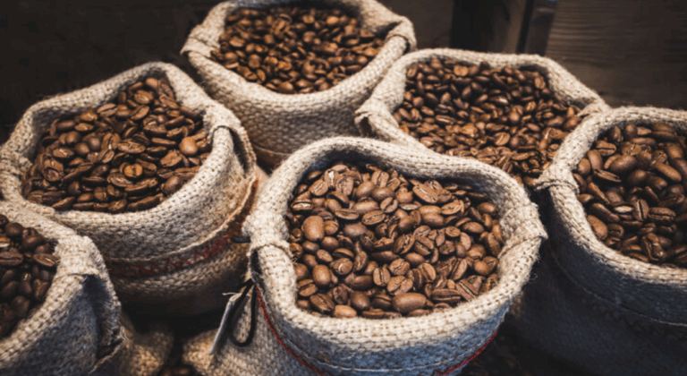 Koffie connoisseur – Masterclass